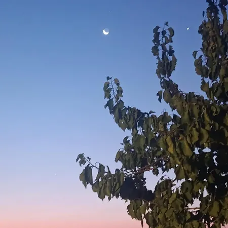 Alpesi faház Ucmakdere Manzara Dag Evi *